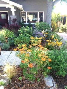 Plant Your Margins to Increase Harvests Image